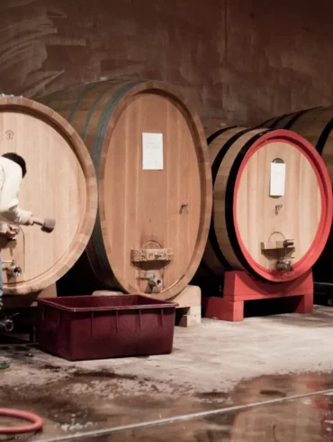 Traditional Barolo winemaker Eugenio Bocchino empties wine from a barrel