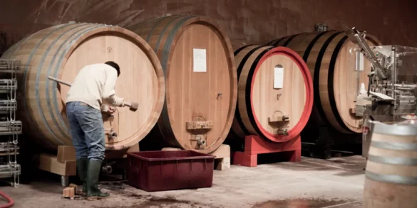 Traditional Barolo winemaker Eugenio Bocchino empties wine from a barrel