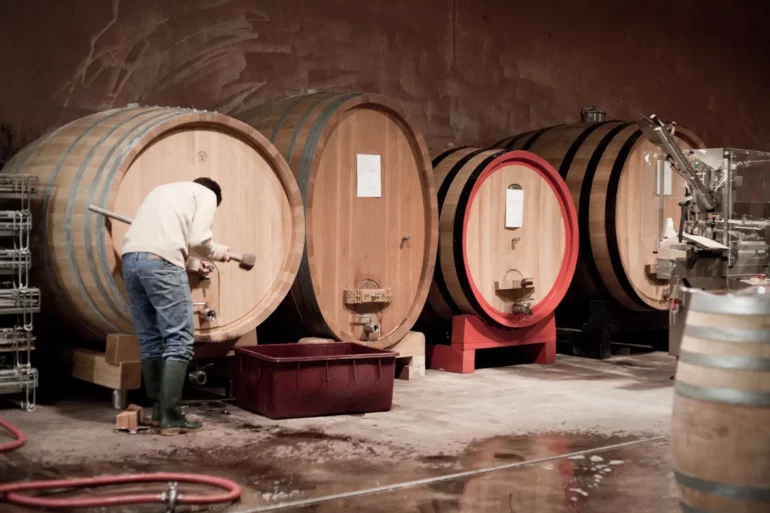 Traditional Barolo winemaker Eugenio Bocchino empties wine from a barrel