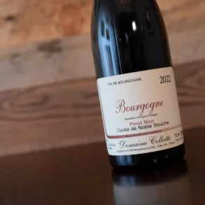 Bottle of 2022 Domaine Collotte Bourgogne Rouge