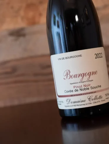 Bottle of 2022 Domaine Collotte Bourgogne Rouge