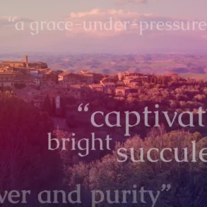 pink and purple treatment of Montalcino landscape in Tuscany, Italy with adjectives