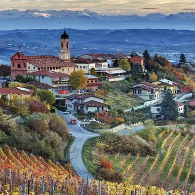 Barolo Wine Club