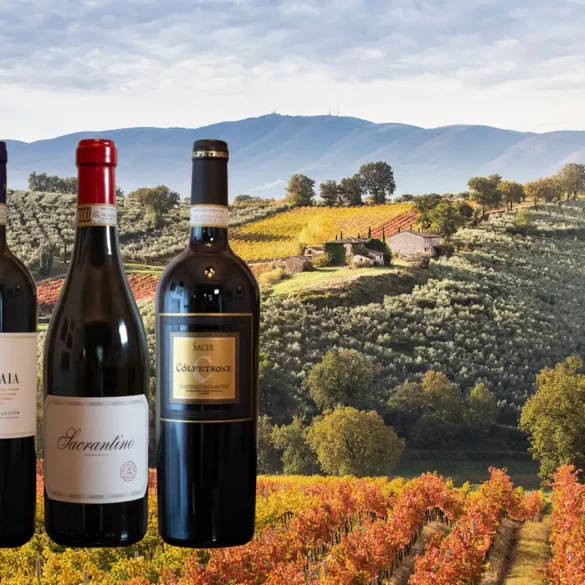 Three Montefalco Sagrantino wines superimposed over an Umbrian landscape