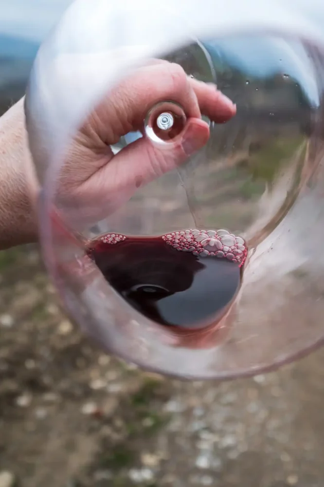A taster’s view of Cabernet Franc in the glass