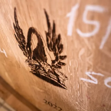 Emblem of Tenuta di Trinoro on a wood barrel at Tenuta di Trinoro, Val d’orcin, Tuscany.