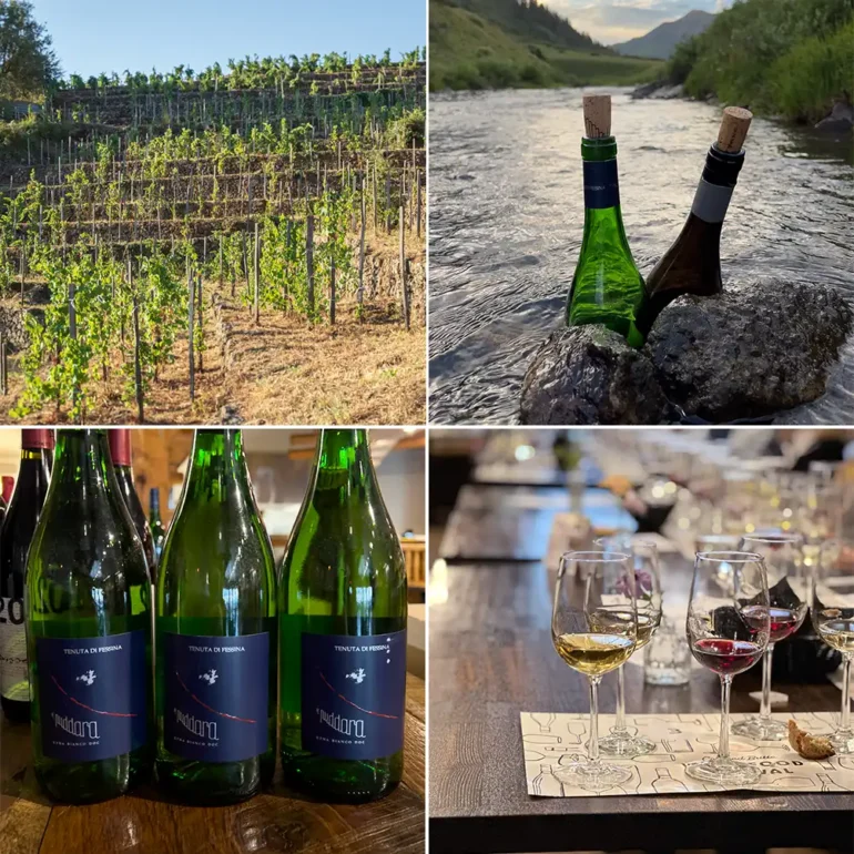 Collage of Etna wine bottles from Crested Butte seminar hosted by Kevin Day