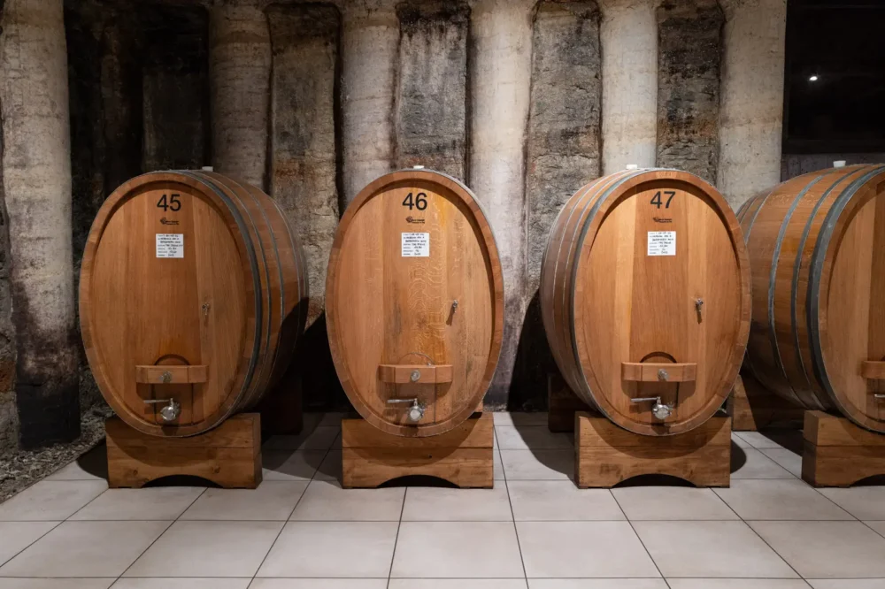 Cascina delle Rose barrel room and cellar in Barbaresco