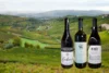 Three bottles of Barbaresco with an image of the Rabaja MGA vineyard