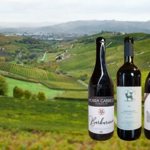 Three bottles of Barbaresco with an image of the Rabaja MGA vineyard