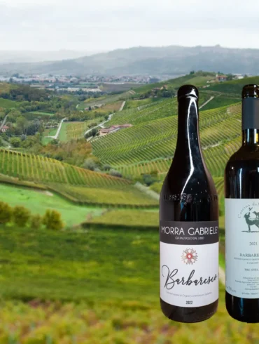 Three bottles of Barbaresco with an image of the Rabaja MGA vineyard