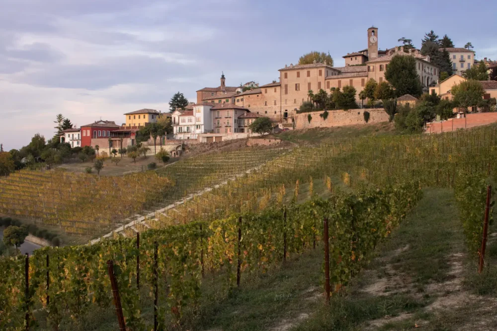 Barbaresco village of Neive and Marcorino MGA cru vineyard for DOCG wine production