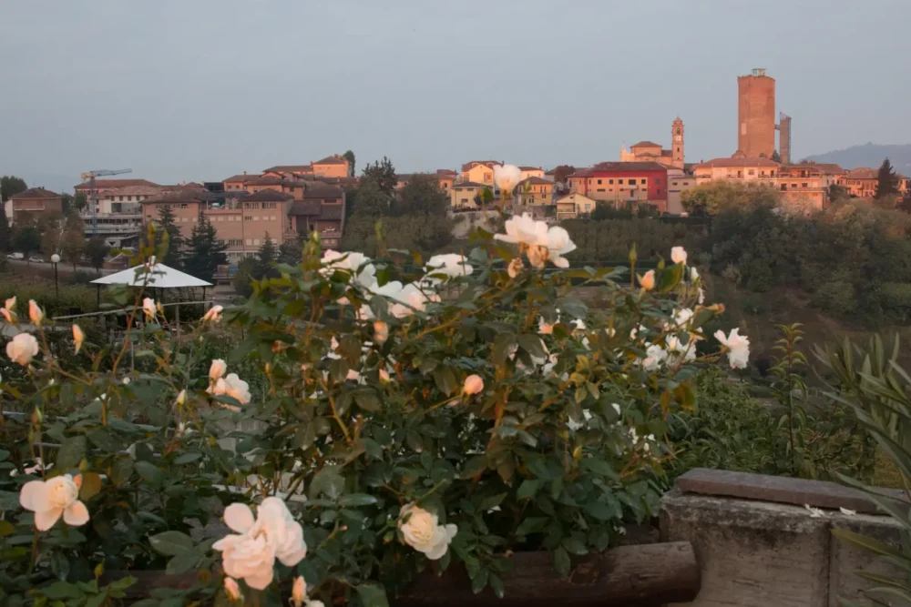 The village of Barbaresco and its iconic tower illuminated by the rising sun.