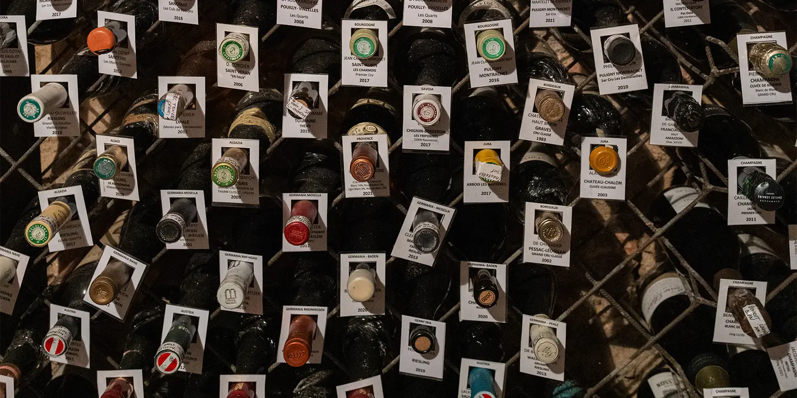 Wines being collected for pleasure in a cellar somewhere in northern Italy.