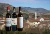 Your First Taste of Chianti Rufina featuring three bottles from producers Frascole, Selvapiana and I Veroni