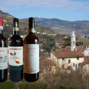 Your First Taste of Chianti Rufina featuring three bottles from producers Frascole, Selvapiana and I Veroni