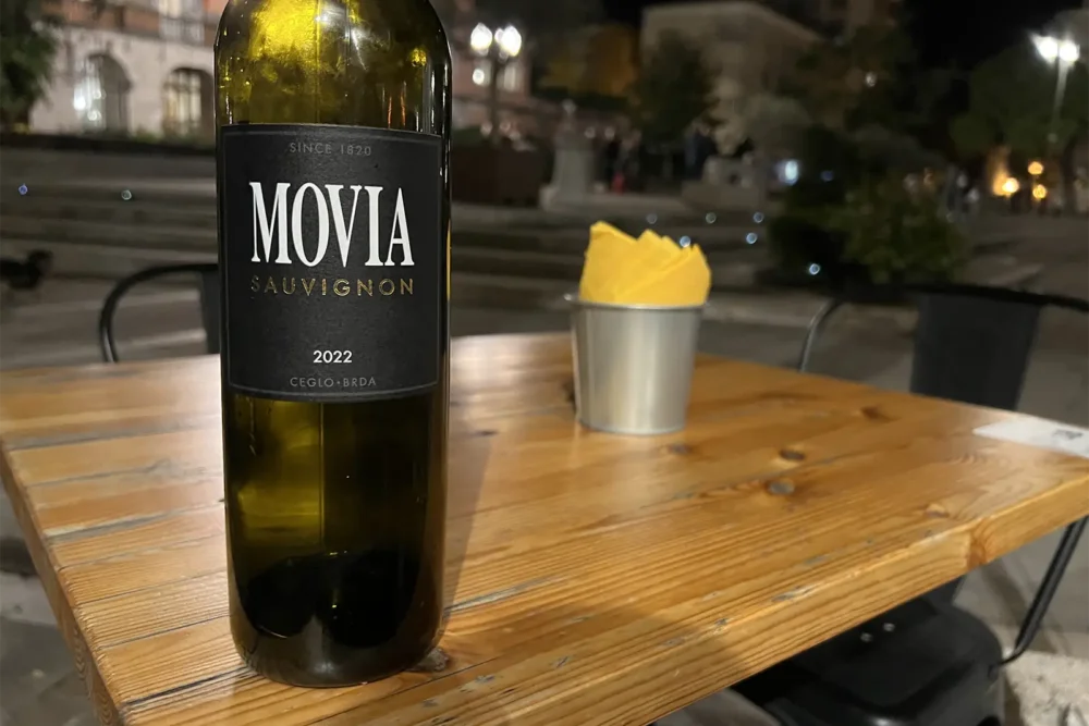 2022 Movia Goriska Brda Sauvignon
