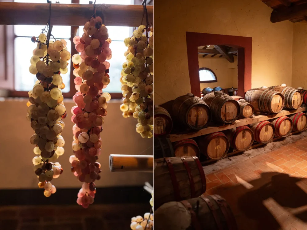 Drying grapes and wine barrels holding vin santo at Tenuta di Capezzana