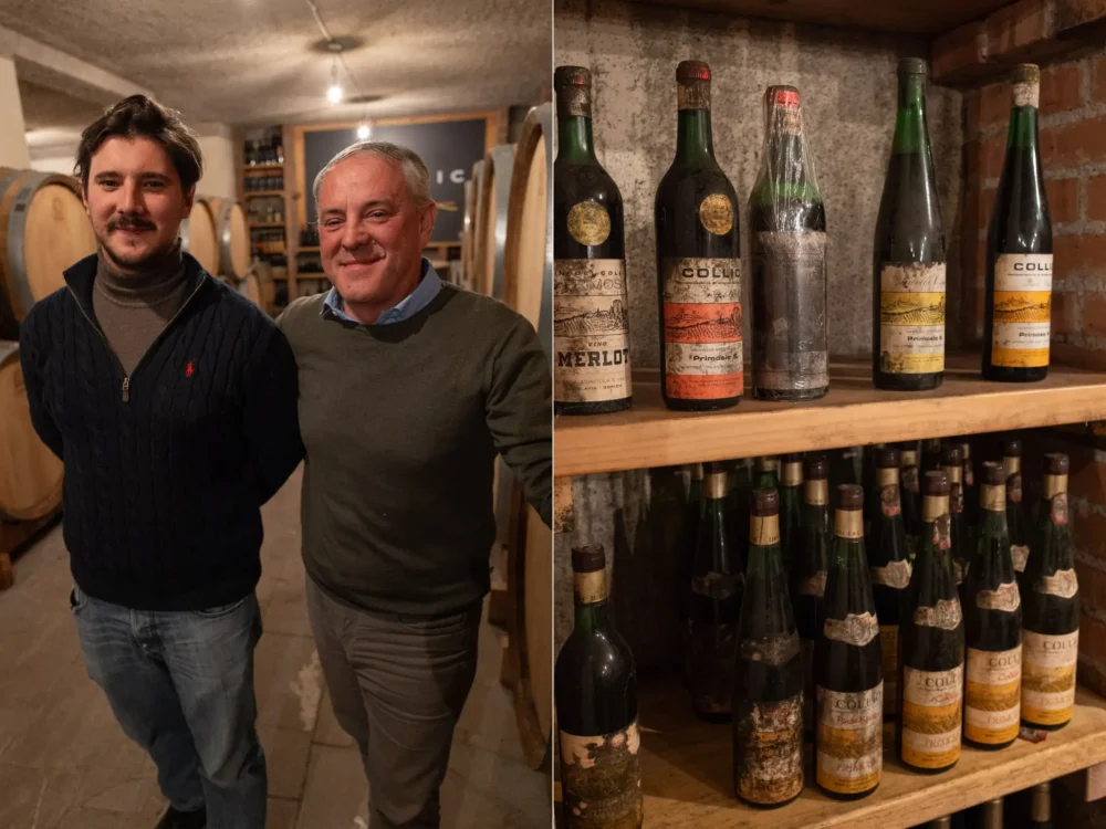 Primosic family winery: Marko Primosic, Nikola Primosic, older vintages of wine.