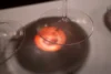 Red light passes through Brunello wine onto stemware base and white table cloth