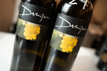 Wines of Damijan Podversic