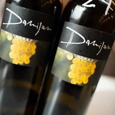Wines of Damijan Podversic