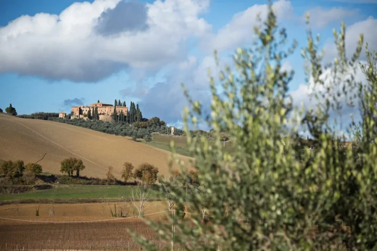 A typical rural scene in the Val d'Orcia near Montalcino