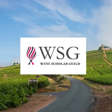 Wine Scholar Guild logo