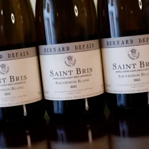 2022 Bernard Defaix Saint-Bris Sauvignon Bris