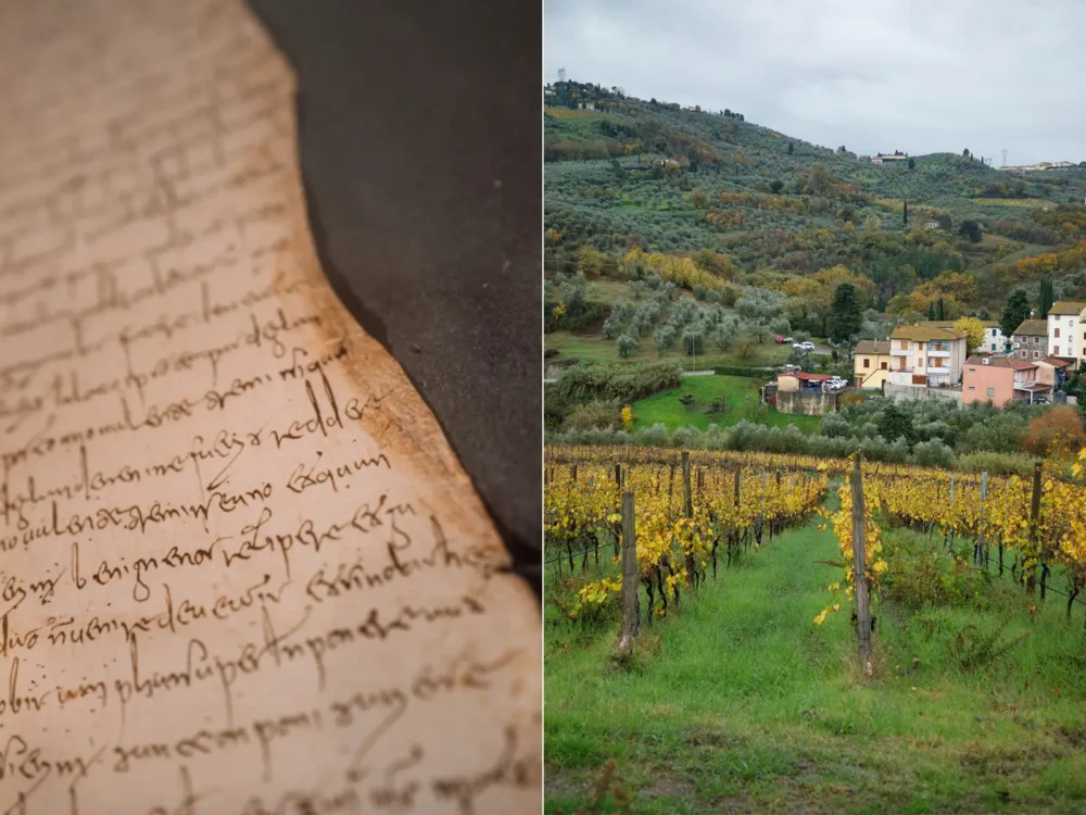 An ancient document discovered in the Florentine archives stipulates the rental of Capezzana in 804 AD. Vineyards of the estate in the Carmignano area.
