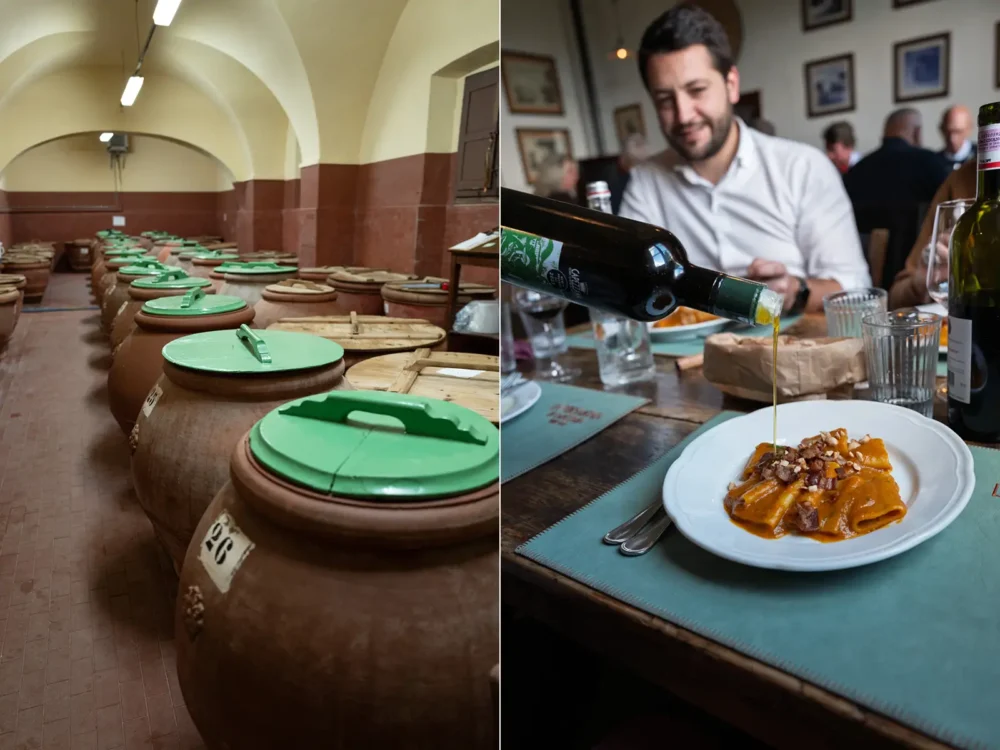 Olive oil production at Tenuta di Capezzana