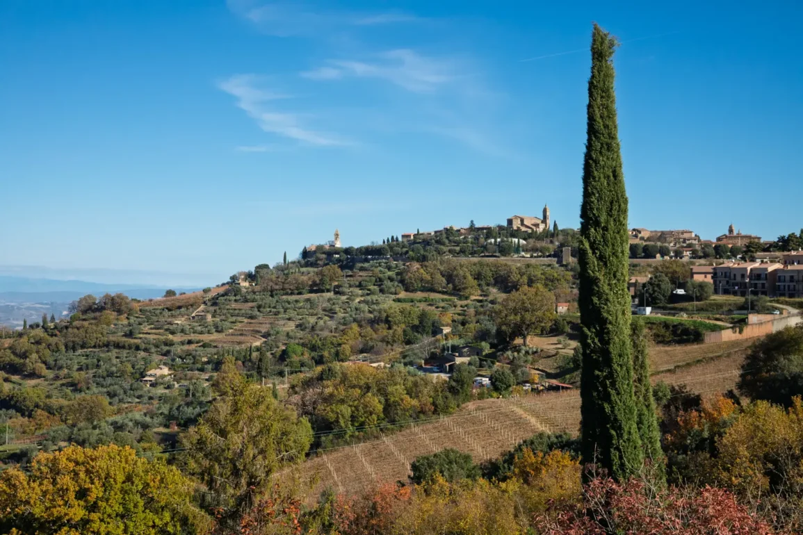 Autumn view of Montalcino