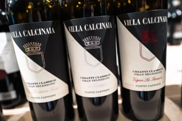 Chianti Classico Gran Selezione wines of Villa Calcinaia - Conti Capponi