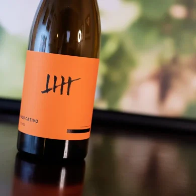 2022 Viños de Terruños “Pago Cativo O Forte” Ribeiro