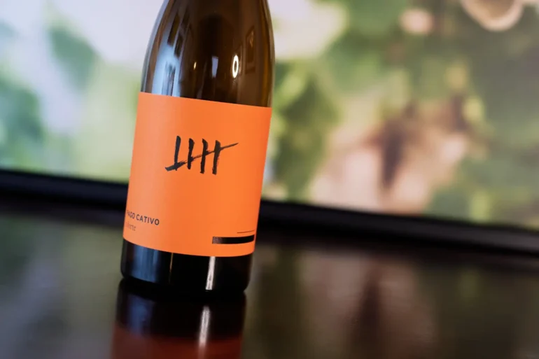 2022 Viños de Terruños “Pago Cativo O Forte” Ribeiro