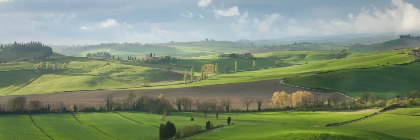 Green pastoral scene in Tuscany, Italy