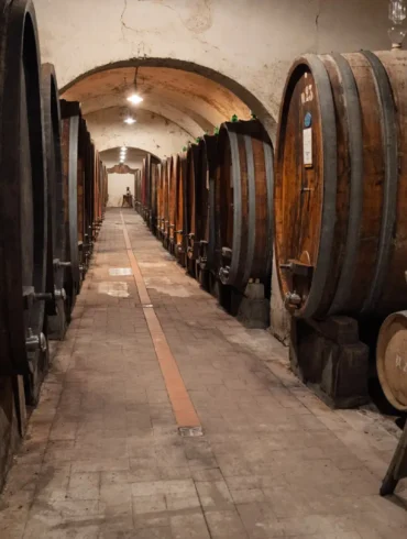 The barrel room of Tenuta di Capezzana’s wine cellar in Carmignano, Italy.