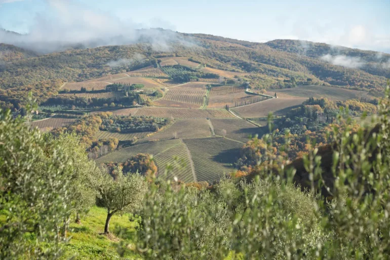 The view from Querceto di Castellina