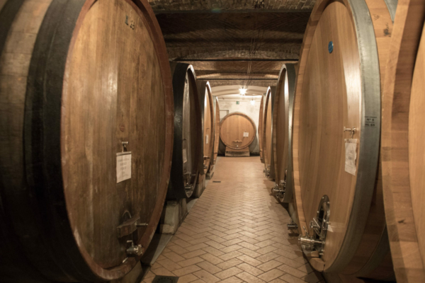 Large oak casks filled with Barolo and Barbaresco — some of them more than 40 years old — line the cellar at Oddero. ©Kevin Day/Opening a Bottle