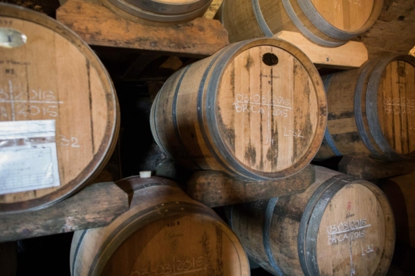 Inside the cellar at Vietti's winery in Castiglione Falleto. ©Kevin Day/Opening a Bottle