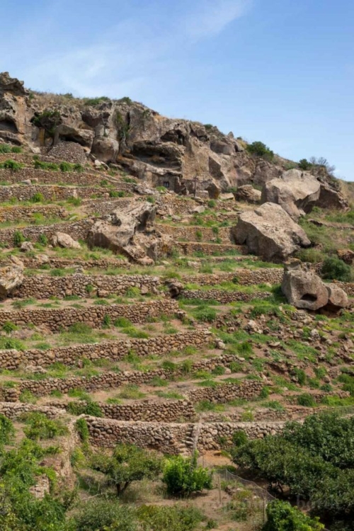 Pantelleria's terraced vineyards defy description. ©Kevin Day/Opening a Bottle