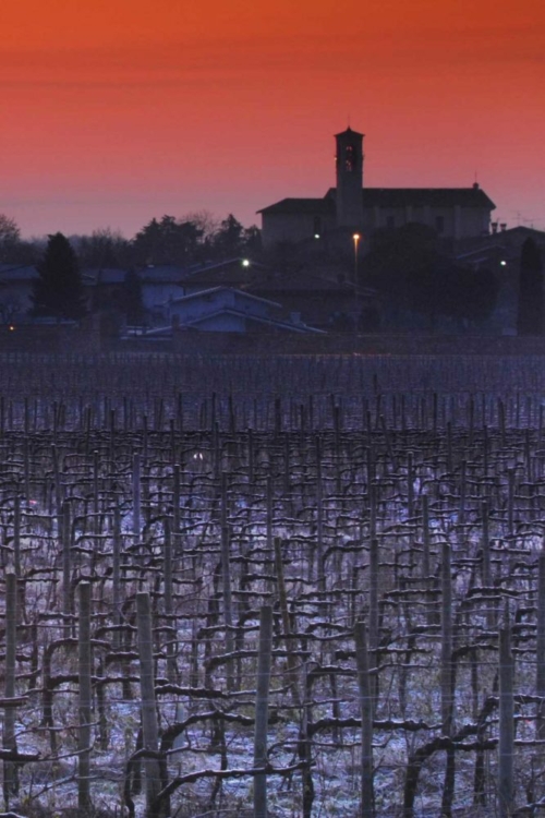 A winter sunrise over the vineyards of Franciacorta. ©Consorzio Franciacorta