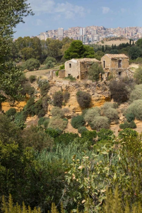 The modern city of Agrigento contrasted with the ancient Garden of the Kolymbetra at the Valley of Temples. ©Kevin Day/Opening a Bottle