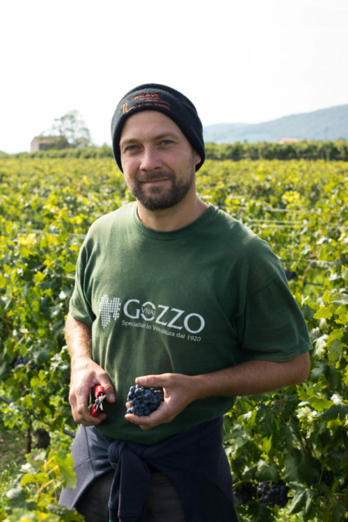 Marco dal Forno — one of three brothers who work under the tutelage of Romano dal Forno in Valpolicella's Val d'Illasi. ©Kevin Day/Opening a Bottle