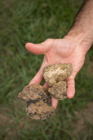 The multi-hued rock of Pantelleria was forged by magma. ©Kevin Day/Opening a Bottle