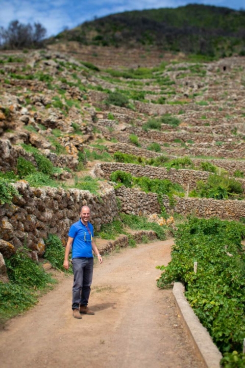 Antonio Rallo beneath the dramatic Montagna Grande vineyard where Donnafugata buys some of their fruit for Ben Ryé. ©Kevin Day/Opening a Bottle