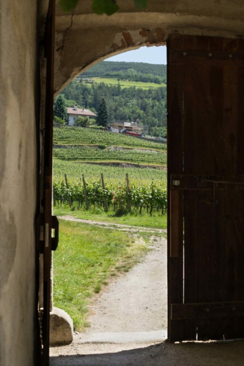 A view to the vineyards at Abbazia di Novacella. ©Kevin Day/Opening a Bottle