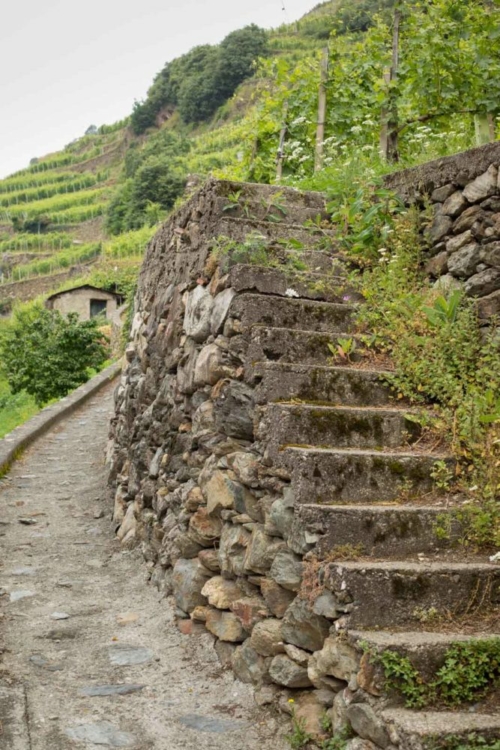 Typical stone terracing in the vineyards of Valtellina. ©Kevin Day/Opening a Bottle