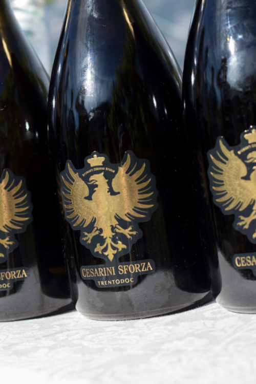 2009 Cesarini Sforza Riserva "Aquila Reale" Trento DOC ©Kevin Day/Opening a Bottle