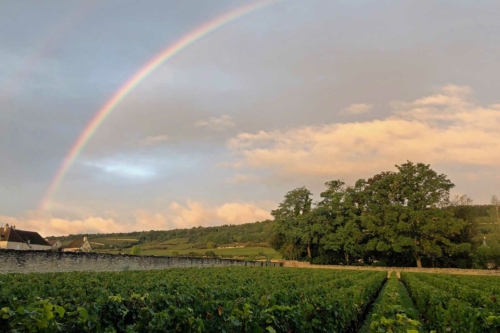 As if on cue, a rainbow over Morey-Saint-Denis, Burgundy, France. ©Ashley Hausman